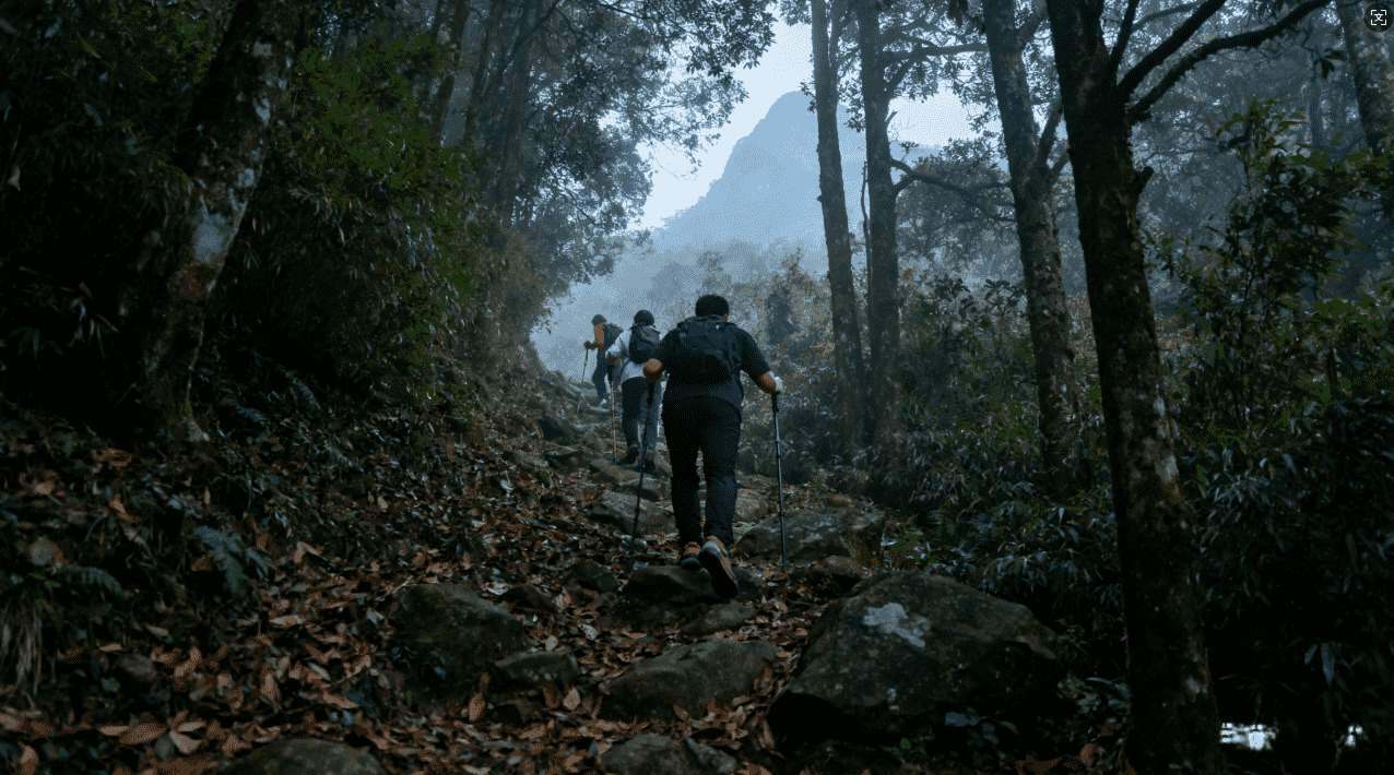 全面评测免费VPN加速器，助你实现极速稳定的网络体验